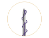 Мезонити Honey Derma Thread PDO COGGING SCREW+DSP type 25Gx38mm - 136mm (Хани Дерма Фред)