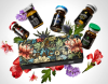 Набор bioGEL КРАСОТА 5х5мл (Биогель)